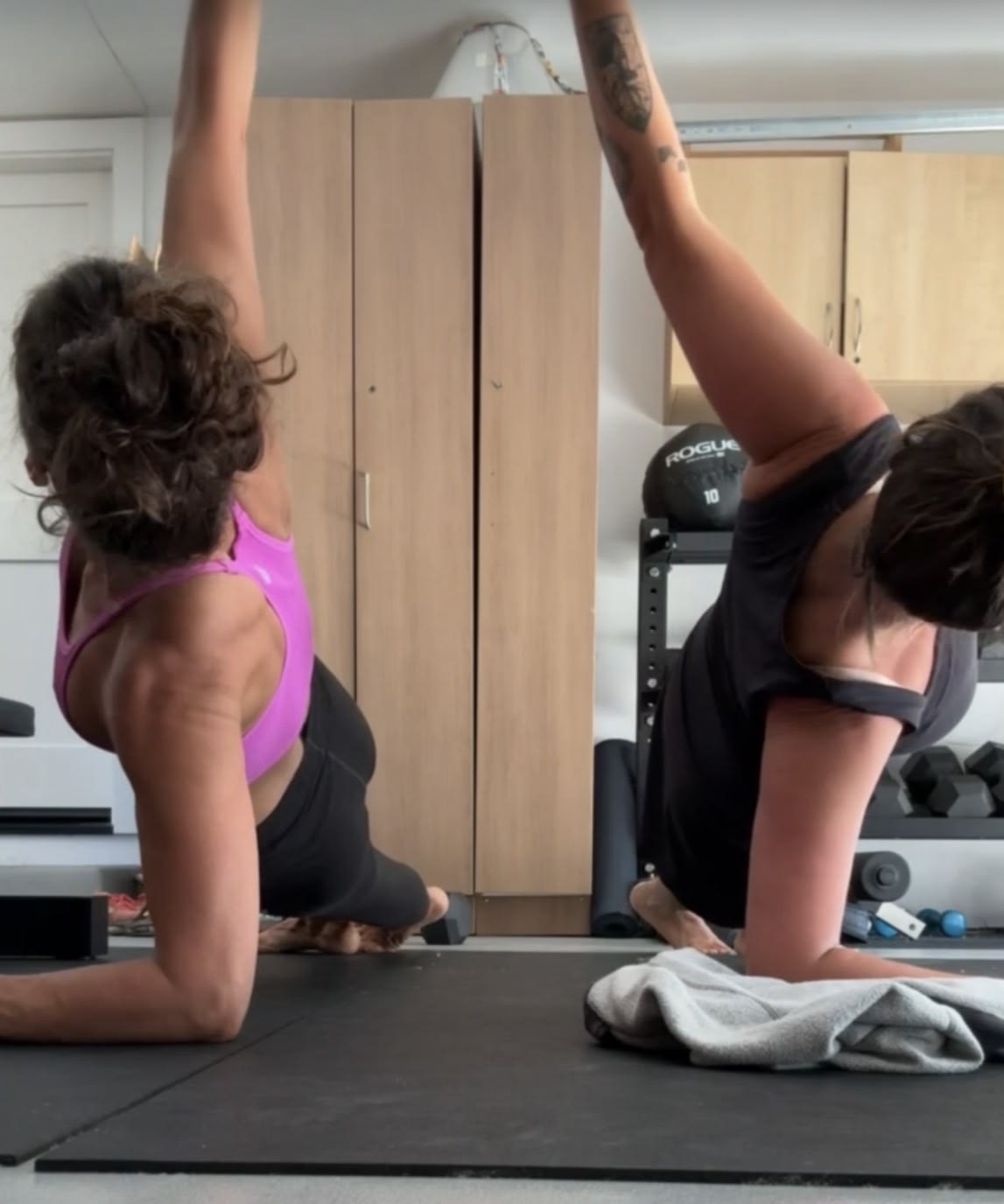 Janny & Dr. Courtney's Programs & Challenges membership landing page