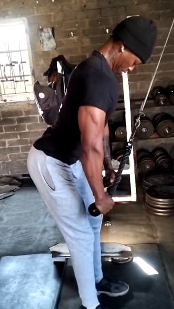 upcoming session: triceps