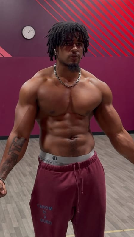 5 Day Workout Split Program (PPL + UL)