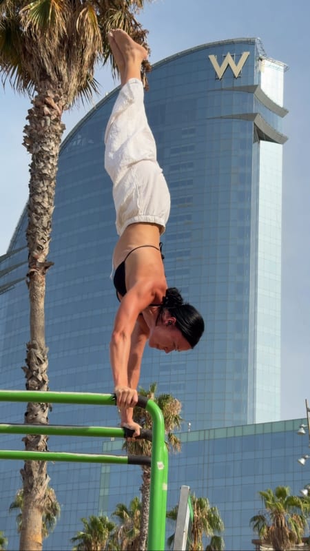 6 WEEKS - CALISTHENICS BEGINNER CHALLENGE
