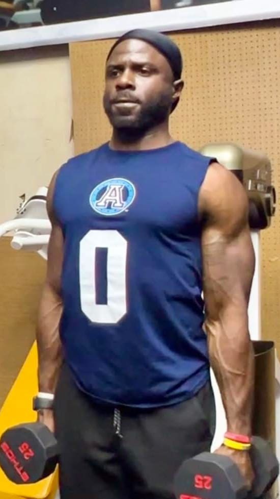 D Wilson