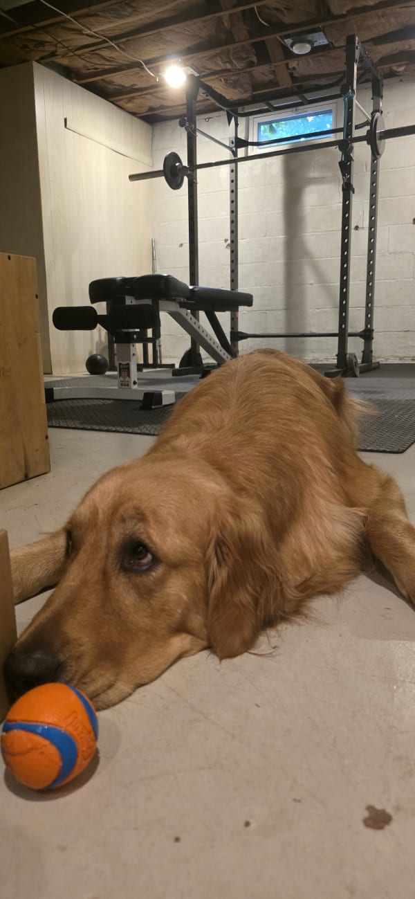 Sunshine's review of Lindsay's membership
