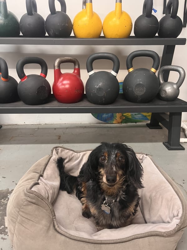 Kristen's review of Lauralie's membership
