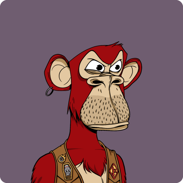 program highlights from creator