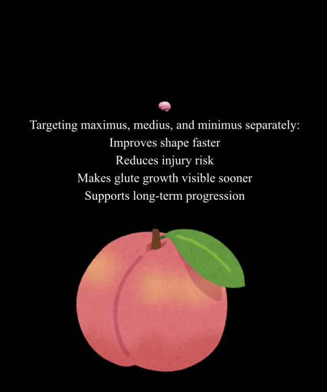 program highlights from creator