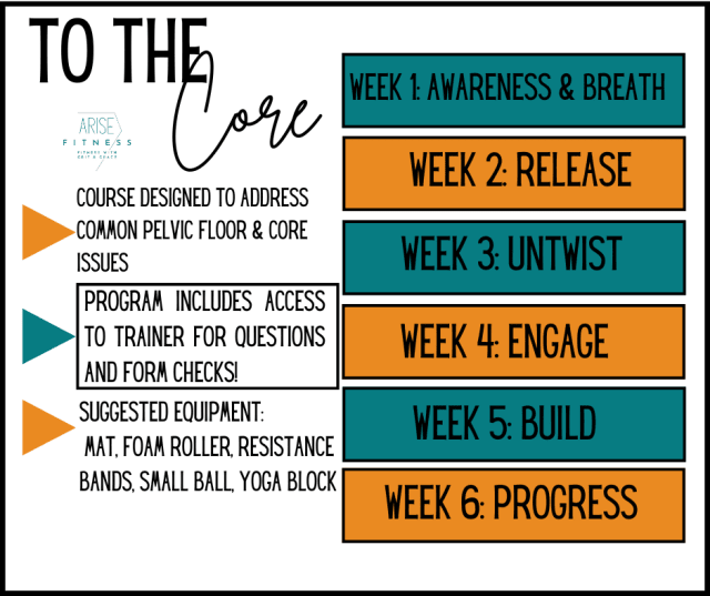 program highlights from creator