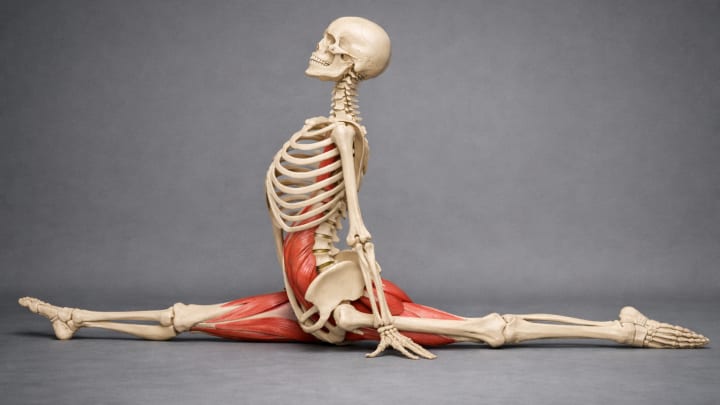 Break Through Your Splits Plateau