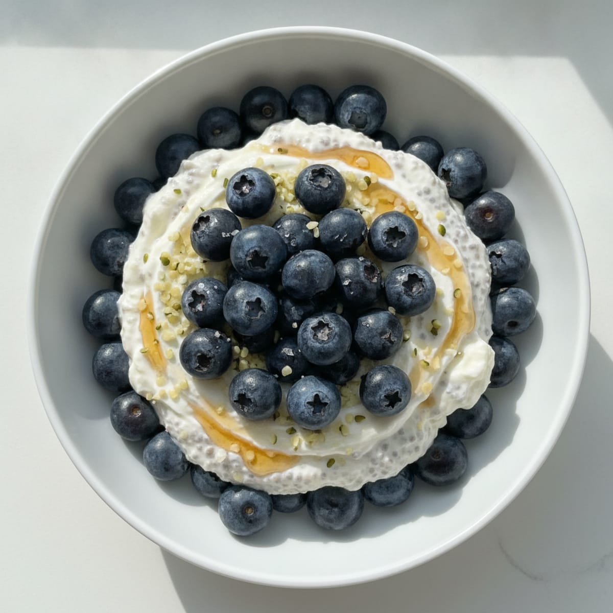 Blueberry Chia Seed Pudding