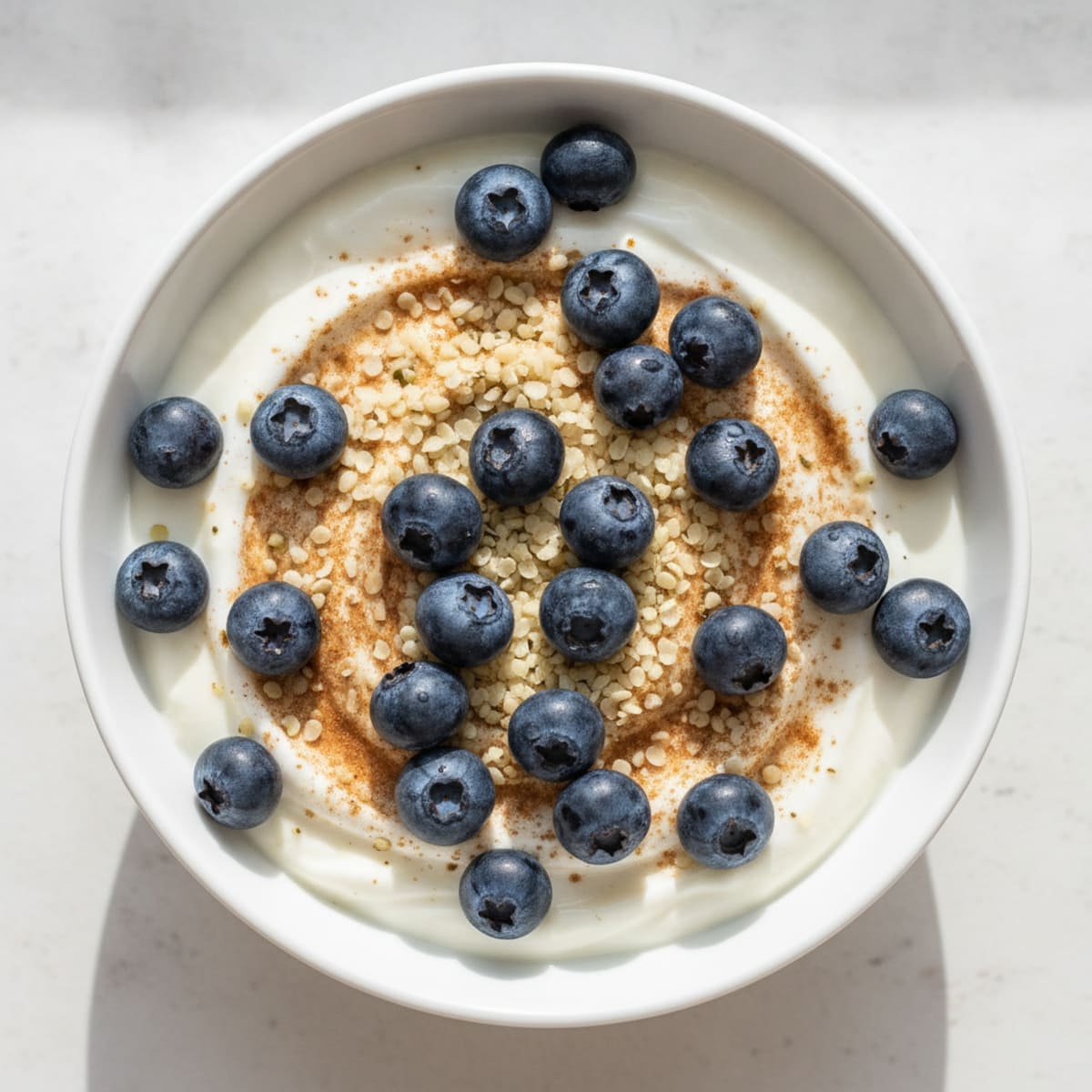 Blueberry Greek Yogurt Bowl