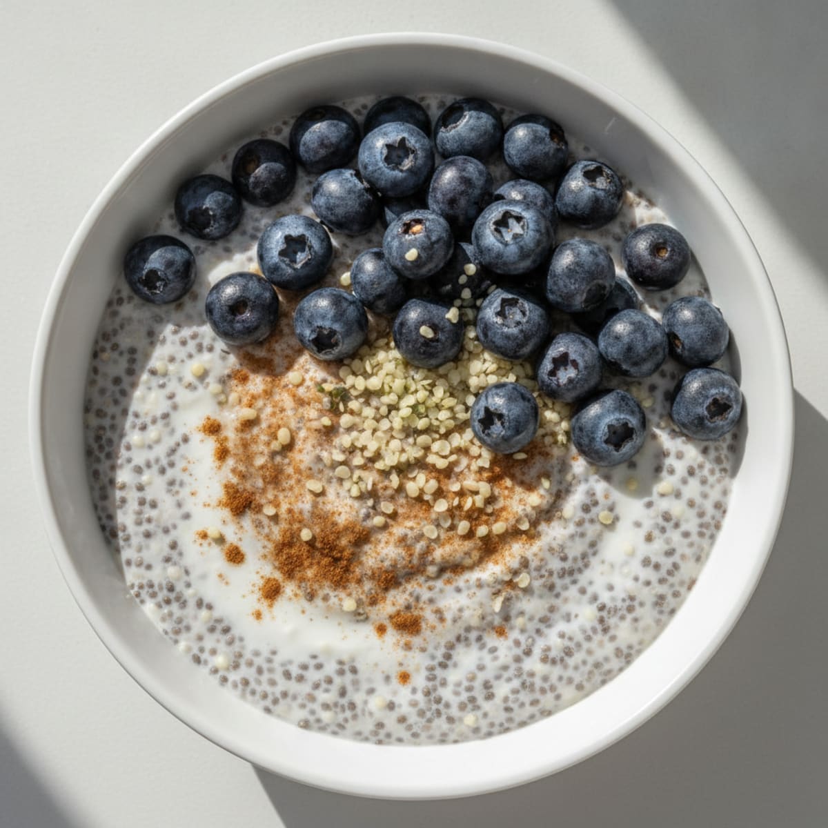 Blueberry Chia Seed Pudding
