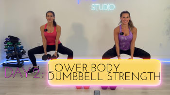 upcoming session: Day 2: Lower Body Dumbbell Strength