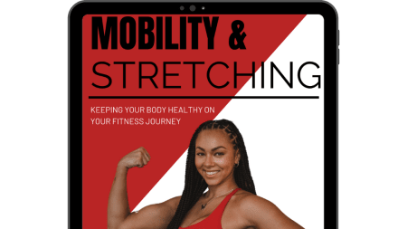 Mobility/Stretching Guide