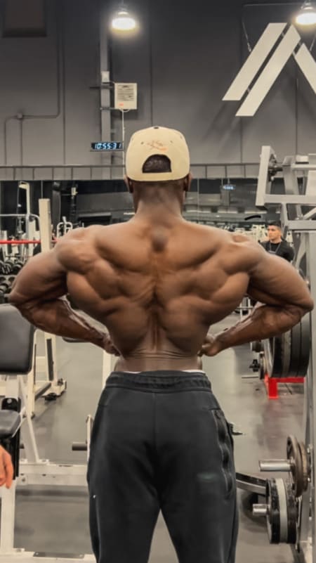 WINGS OF A BIRD - (BACK SPECIALIZATION)