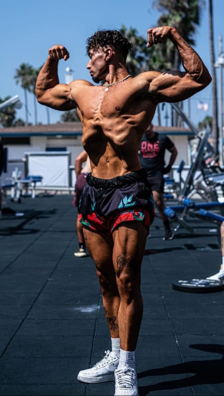 6 Week Most Aesthetic Shred Program 