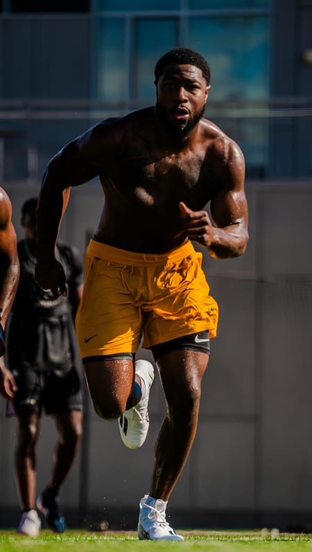 ProtectTheVision: Elite Body Transformation