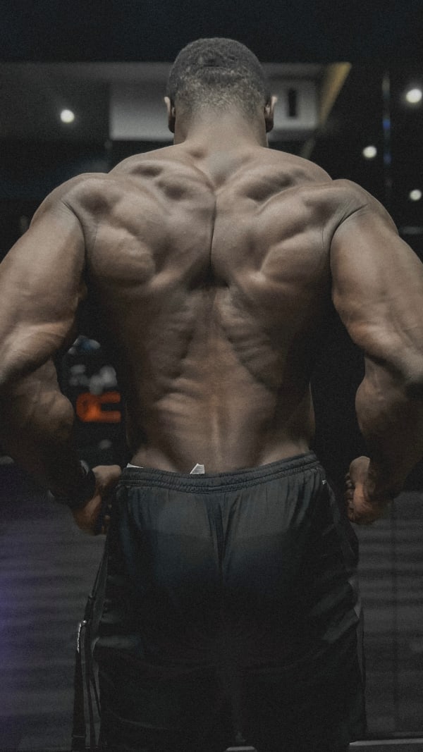 Dan Ibrahim