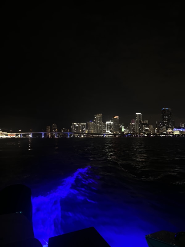 Johan Pacheco | Online Fitness Coach