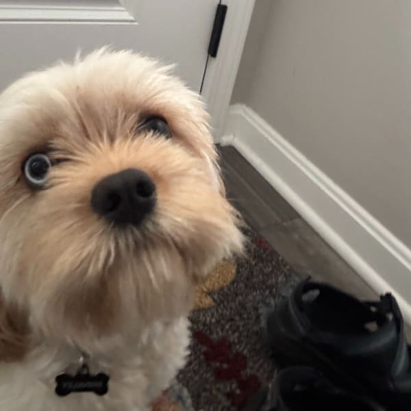 program transformation testimonial image from From Emily R in MA