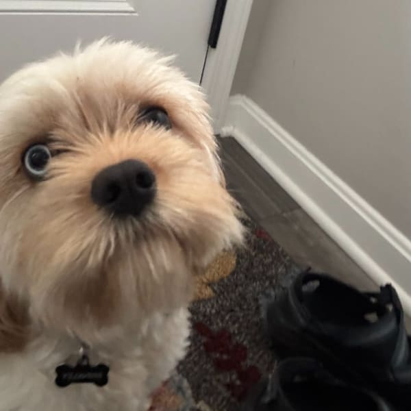 program transformation testimonial image from Ashton C. from FL