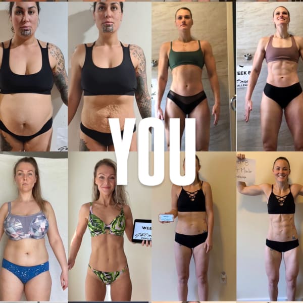 program transformation testimonial image