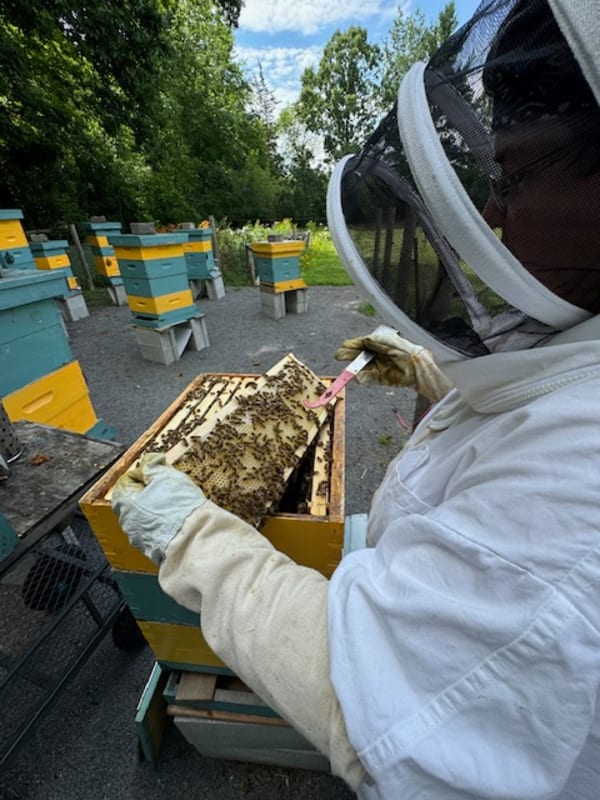 Frances's review of Cheryl's membership