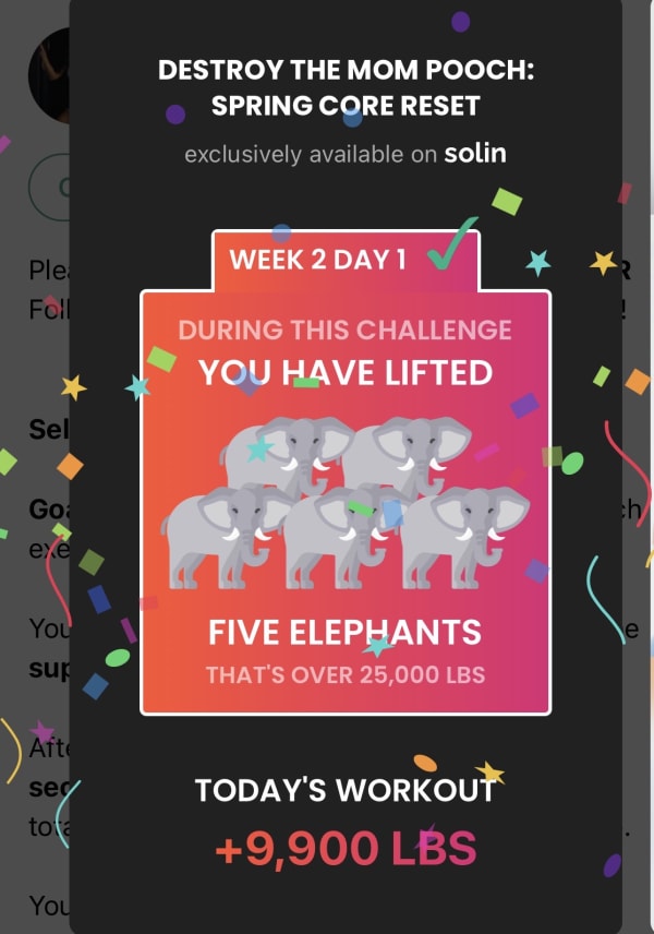 Noura's review of Coach Roula's membership