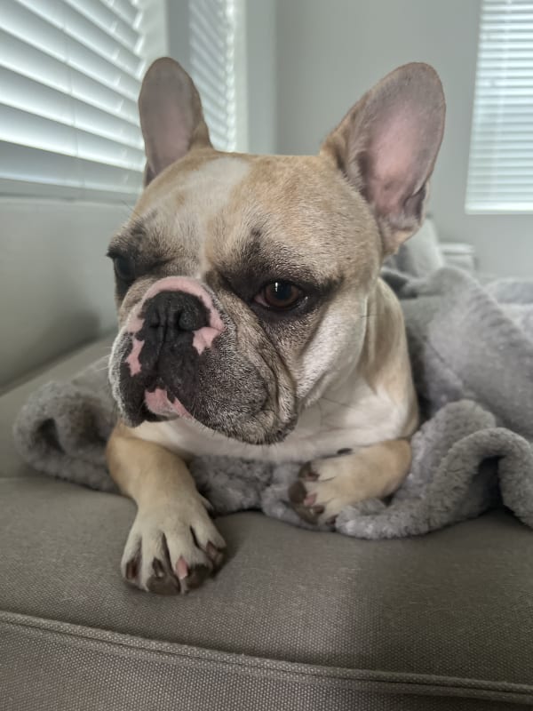 Donovan's review of Ralphy's membership