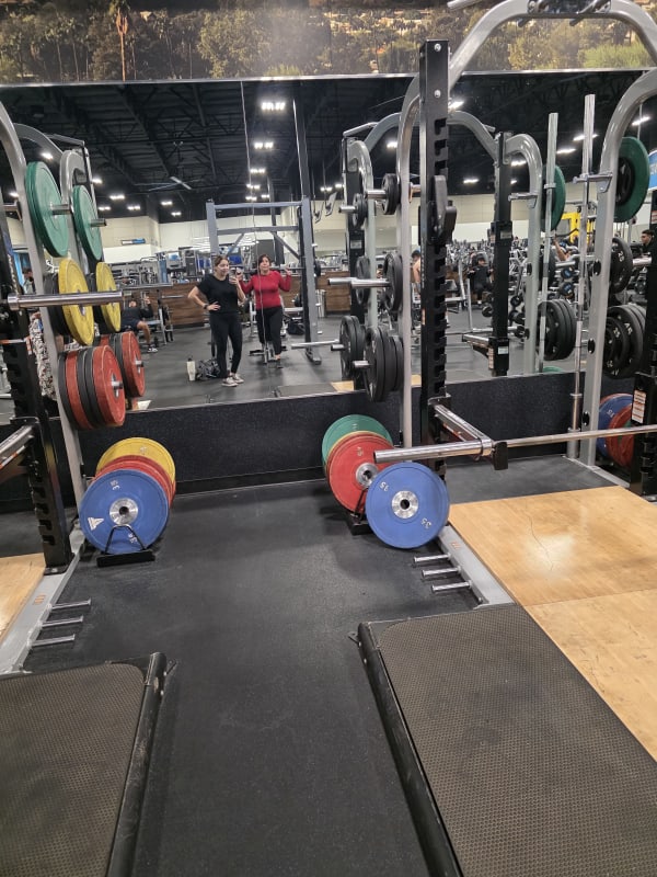 Monica's review of Maya's membership