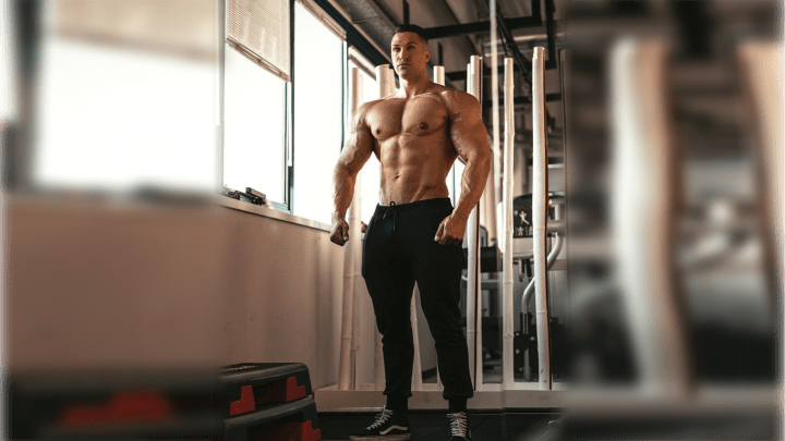 4 Week Full Body Shred Program