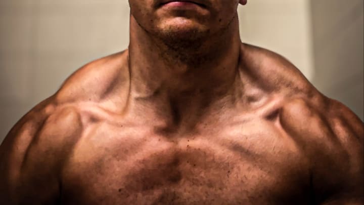 NO B.S. Scrawny To Shredded