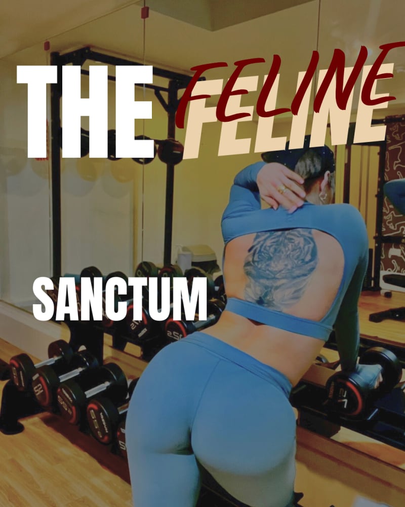 THE FELINE FORTRESS membership landing page