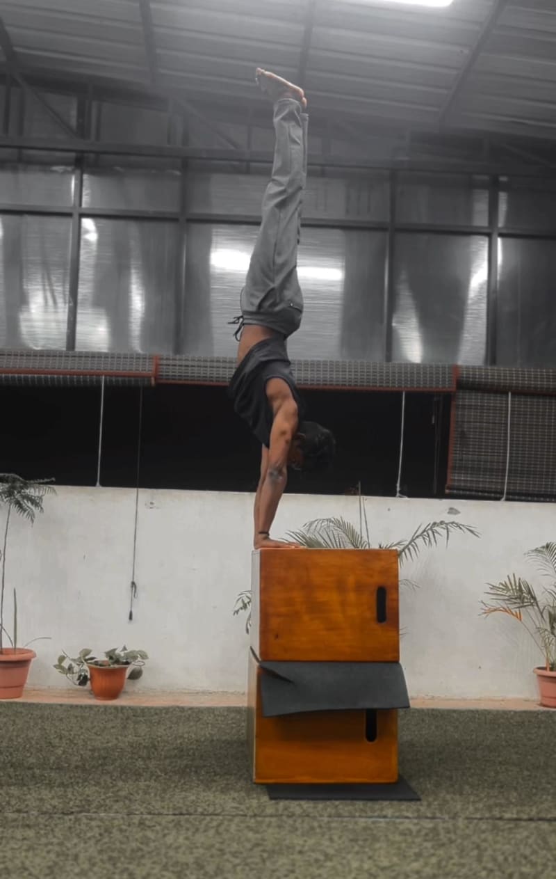 AKCALICOACH // ONLINE CALISTHENICS COACH