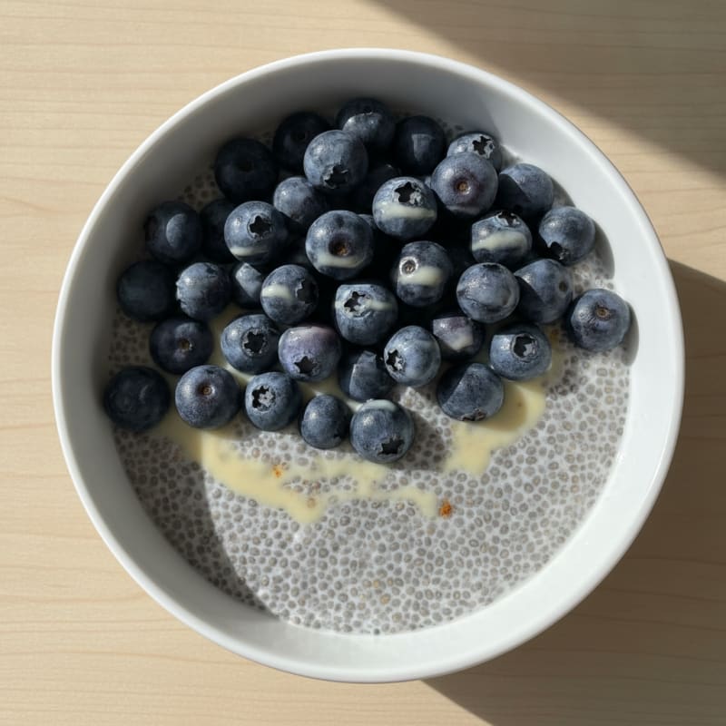 Blueberry Chia Seed Pudding