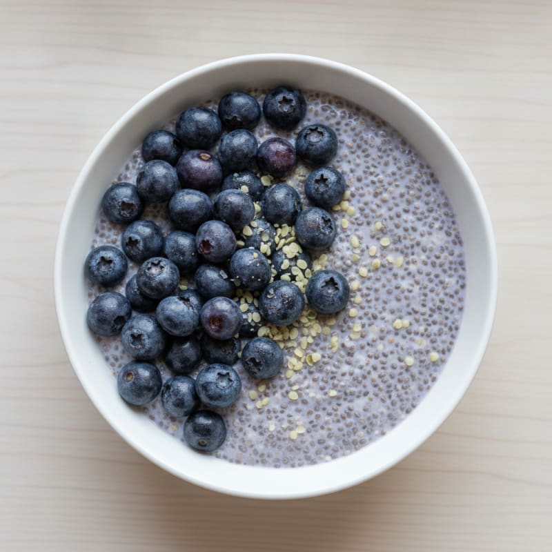 Blueberry Chia Seed Pudding