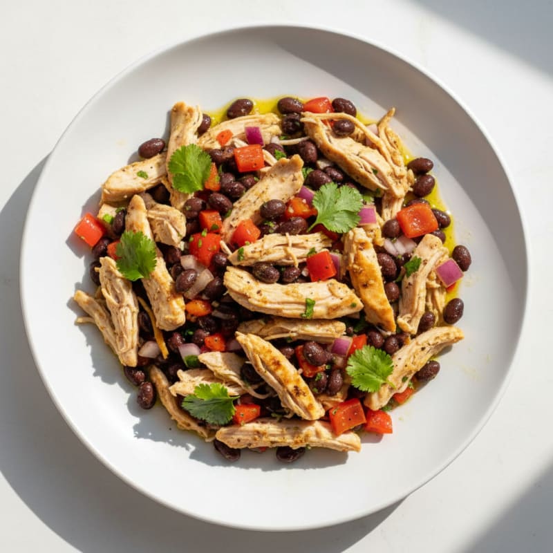 Shredded Chicken and Black Bean Salsa