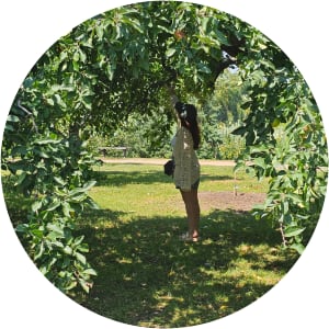 User Profile Avatar