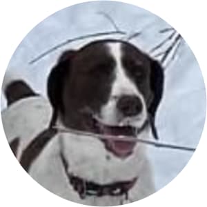 User Profile Avatar