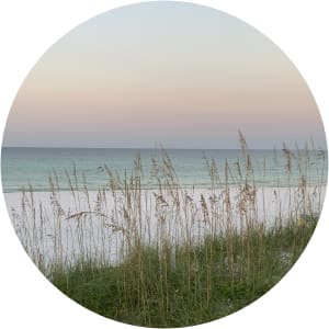 User Profile Avatar