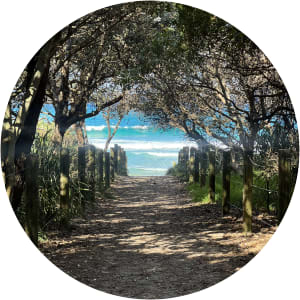 User Profile Avatar