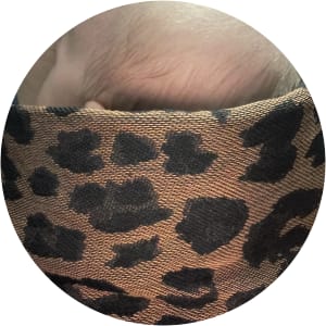 User Profile Avatar