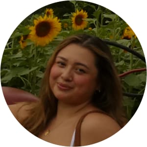 User Profile Avatar