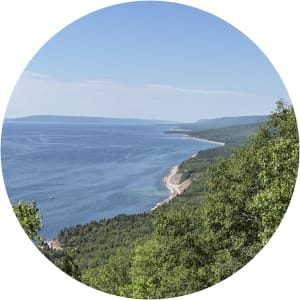 User Profile Avatar