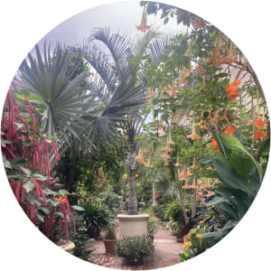 User Profile Avatar