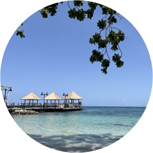 User Profile Avatar