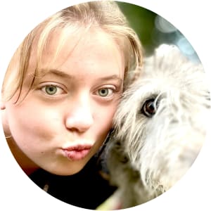 User Profile Avatar