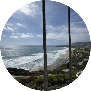 User Profile Avatar