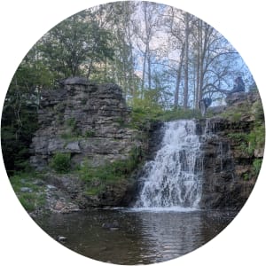 User Profile Avatar