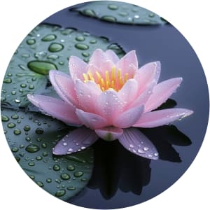 User Profile Avatar