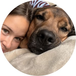 User Profile Avatar