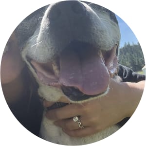 User Profile Avatar